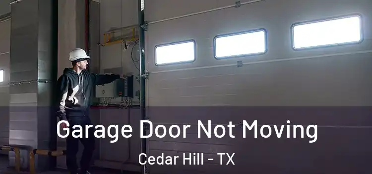  Garage Door Not Moving Cedar Hill - TX
