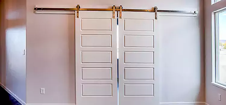 Glass Barn Door with Installation Hardware Kit Cedar Hill